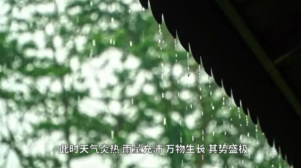 芒种：忙有所获 种有所得